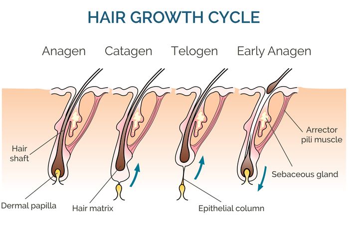 lézeres szőrtelenítés hány éves kortól szabad